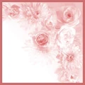 Logo Beauty & Care Kosmetik- & Nagelstudio Christine Liktor