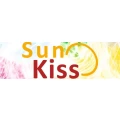 Logo Beauty Solar Sonnenland