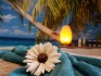Logo Beauty Wellness Lounge