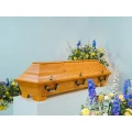 10054_coffin_fullshot.jpg