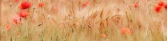 Logo beethochdrei