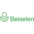 Logo Beiselen GmbH Logo Beiselen GmbH