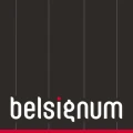 Belsignum Webagentur