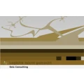 Logo Belz Consulting