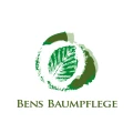 Ben's Baumpflege Grasbrunn
