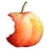 Logo Benoufa, Sonia Zahnärztin