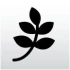 Logo Berliner Kinder und Jugendcoaching Irina Grosser