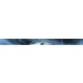 Logo berlingua