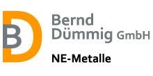 Logo Bernd Dümmig GmbH ne-metall