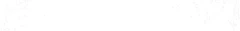Logo Bernd Feldmann Fuhrgeschäft
