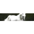 Logo Strahl, Bernd