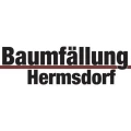 Bernhard Hermsdorf Baumf&auml;llungen Plauen