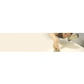 Logo Bernhard Veth GmbH