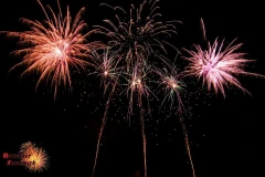 Logo Berserker-Feuerwerk