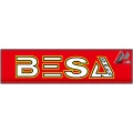 BESA GmbH Muldestausee