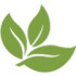Logo BEST Bestattungs- und Vorsorgedienst GmbH