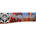 Bestattungen Piet&auml;t Bracht GmbH Leipzig