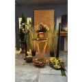 Bestattungen Willi Lingen Bestattungsinstitut Willich