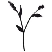 Logo Bestattungshaus Marcel Hofmann Ludwig GbR