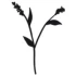 Logo BestattungshausHofman Marcel u.Ludwig