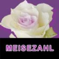 Logo Bestattungsinstitut J&uuml;rgen Meisezahl