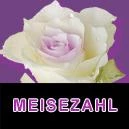 Logo Bestattungsinstitut Meisezahl