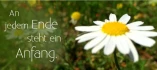 Logo Bestattungsinstitut T. Thie&szlig;