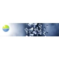 Logo Bestpool GmbH