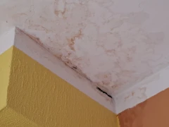 Betreuungseinrichtung Casa in Silva GmbH Mechernich