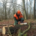 Bev-Holz Braunschweig