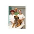 Beyer, Ralf Dipl. vet. med. Tierarztpraxis Bautzen