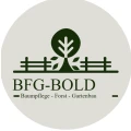 BFG Bold Mannheim