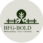 BFG Bold Mannheim