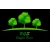 Logo BGS Steffen Baier