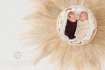 Logo Bianca Rosenberger Bianca-Photografie Fotostudio