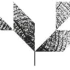 Logo Biermann Holzdesign
