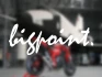Logo Big Point Motorradhandelsgesellschaft mbH & Co KG
