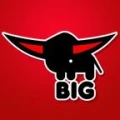Logo BIG Spielwarenfabrik GmbH & Co. KG