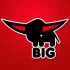Logo BIG Spielwarenfabrik