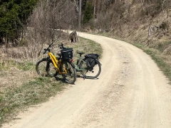 bike-n-fun Gersthofen