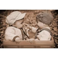 Logo Sweetpictures Photography