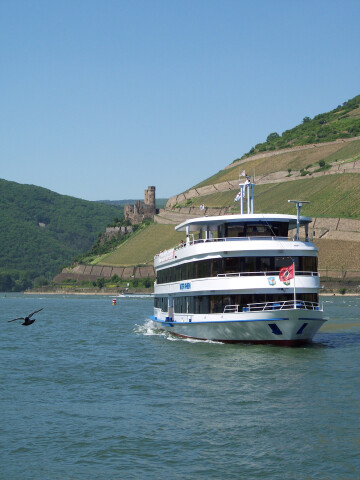 Bingen-Rüdesheimer Fähr- und Schiffahrtgesellschaft e.G. Bingen ...