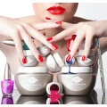 Logo Bio Sculpture Distrikt Nord