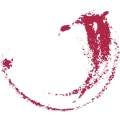Logo Bio Vision GmbH & Co. KG