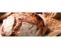 Logo Bioladen Korinthe Naturkost