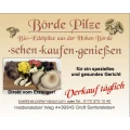 BioMycoTec GmbH Helvesiek