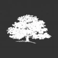 Logo Bionouvelle Institut der Sch&ouml;nheit im Gr&uuml;nen Baum Inh. S.Barth
