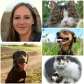 Logo Bioresonanz Fell Analysen f&uuml;r Tiere Tierheilpraktikerin Ulla Thomas
