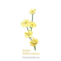 Bioresonanz Naturheilpraxis Habermann M&uuml;nchen