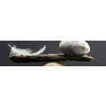 Logo Birgit Hauser